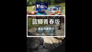 蓝鲫青春版饵料测评，对比蓝鲫经典版有什么区别？ #蓝鲫青春版 #蓝鲫饵料 #钓鱼那些事 #野钓鲫鱼 #饵料测评