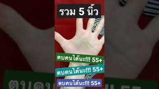 ความหมายของนิ้ว โป้ง ชี้ กลาง นาง ก้อย | ครูโย #YouTubeShorts