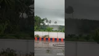 🌧🌧ప్రకృతి ఉగ్రరూపం|| Cyclone effect near my village||cyclone||Nature||Thunderstorm.