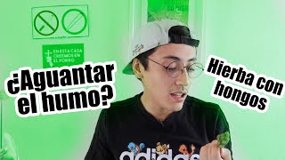 Consejos sobre cannabis que todos deberíamos saber (como fumar marihuana)