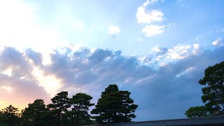 京都御苑  Kyoto Gyoen national garden