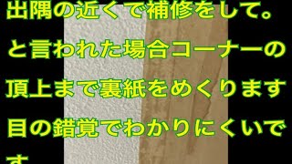 出隅の近くで切り貼りの指示があった場合。裏打ちはコーナーの頂上までめくります。コーナーの頂上の段差は人間の目だと視界に入りにくいです。動画の絶対は取消しです。