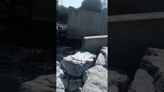 Failed fish pass on the Bandon River