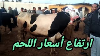 ارتفاع أسعار اللحم من جديد ( سوق المواشي بدمنهور)  اسعار العجول البقري اللحم 22/ 12/ 2024