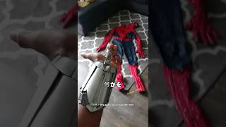 現実世界に現れた/スパイダーマン