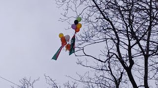 Pakistan Tehreek e Insaaf Flag with Balloons Found Hanging on Walnut Tree in J\u0026K’s Doda District