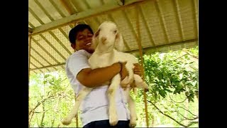 School students and Cattle | Malabar Manual 1July 2019