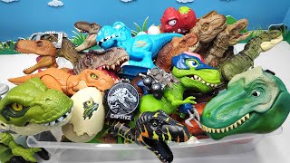 40 Tyrannosaurus Rex Dinosaurus! Dino Bone, Eggs, Robot Toy 티라노사우루스 콜렉션