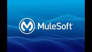 Mule4 debug application