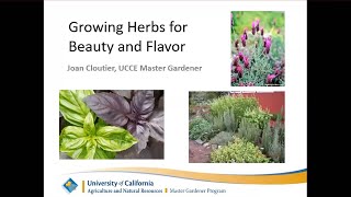 Growing Herbs for Beauty and Flavor