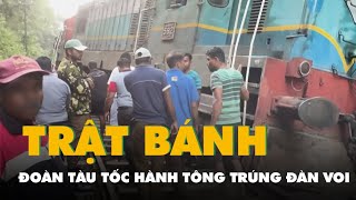 Đoàn tàu tốc hành tông trúng đàn voi, khách an toàn, 6 con voi chết