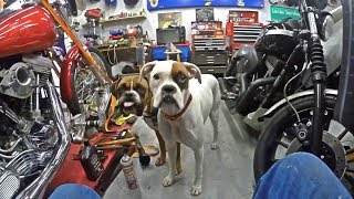 New Helper! Getting Started On The Wet Sumping Softail & Bultaco Blues