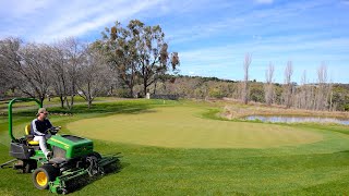 Fixing Winter Damage and Boosting My Lawn for Spring // Fertiliser Boost