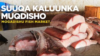 Suuqa Kaluunka Magaalada Muqdisho || Mogadishu City Fish Market