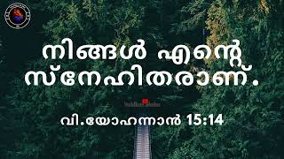 നിങ്ങൾ എൻ്റെ സ്നേഹിതരാണ് ❤️ വി. യോഹന്നാൻ 15:14