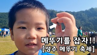 아이들 눈깔 뒤집어지는 메뚜기 축제