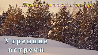 20.01.25. Утренняя встреча #372