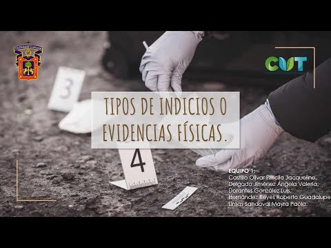 Tipos De Indicios O Evidencias Físicas - YouTube