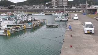 湾内でも小アジが釣れている和歌山県田辺市芳養（はや）堤防。２０匹ほど釣れたそうです。