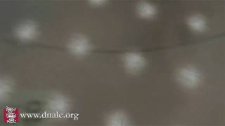 DNA Microarray