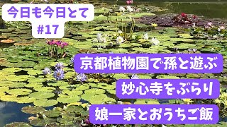 【京都60代パート主婦の日常】おうちご飯/孫と遊ぶ/京都植物園/妙心寺