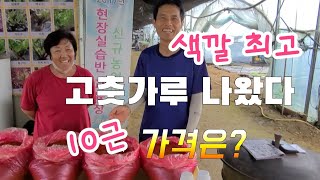 색깔 최고 !! 고춧가루 10근 가격 ? 잘자람 (천연미네랄)로 재배한 최고 고춧가루!