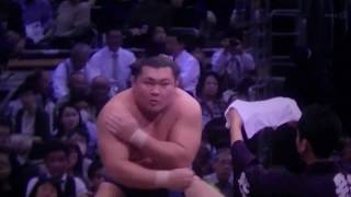 [Sumo.day3] 「照強(Terutsuyoshi) VS 大翔鵬(Daisyouhou)」 Nove.2019.TKSUMO