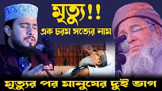 মৃত্যু এক চরম সত্যের নাম। মৃত্যুর পর মানুষকে দুটি ভাগে বিভক্তের কারণ। M Hasibur Rahman