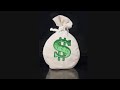 The Money Bag Manifesting Method