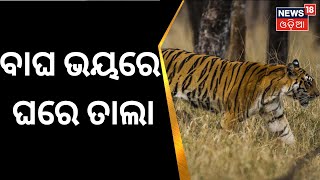 Nuapada News | ଗାଁ ମୁହାଁ ବାଘ, ଭୟରେ ଲୋକେ | Leopard Terror In Nuapada, Villagers Scared | Odia News