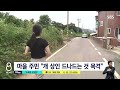 500마리 개들의 지옥…그리고 처참한 그 도 있었다 sbs