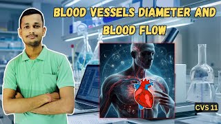 Blood vessels and diameter of blood flow  influence blood pressure | CVS 11|