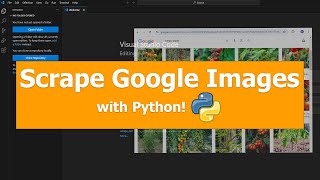 How to Scrape Images from Google with Python & Selenium | Step-by-Step Tutorial
