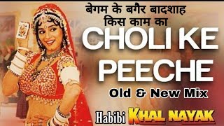 Choli ke Peeche kya hai Song | Begum bagair badshah kis kaam ka | Alka Yagnik A2_99 Songs |