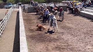 RODEO EN CRUCES 18 MARZO 2024