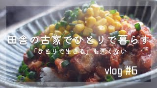 【食事vlog】朝からケーキ / さばトマト丼 / お料理好きだけど毎食作るのは面倒くさい。でも作りたい…。