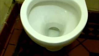 Chester Riverside toilets, Cheshire, UK: J Ducketts Urinals \u0026 basins \u0026 HL Kensington