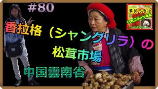 松茸の香りにうっとり～雲南省香拉格（シャングリラ）の松茸市場#80