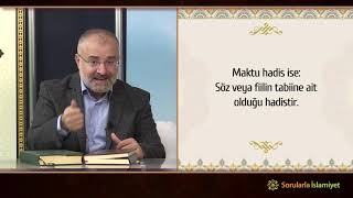 Tasnif safhası   Hadis Savunması