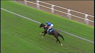 20181209 Greyville express clip Race 3 won by BE THE RIGHT