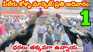 పీలేరు కోళ్ళ మార్కెట్ 4 2 2024 pileru kolla market #aseelmurga