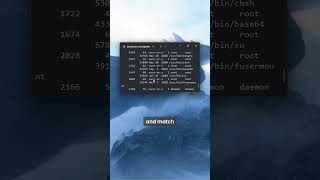 SUID privilege escalation #cybersecurity #linux #cyber #hacker #tech #computerscience #pentesting