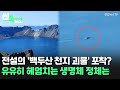 [씬속뉴스] 전설의 '백두산 천지 괴물' 포착? 유유히 헤엄치는 생명체 정체는 / 연합뉴스TV (YonhapnewsTV)