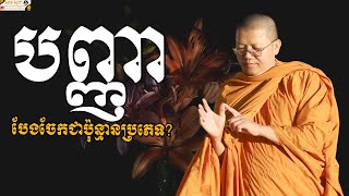 តើបញ្ញាត្រូវបានបែងចែកជាប៉ុន្មានប្រភេទ? | SAN SOCHEA OFFICIAL