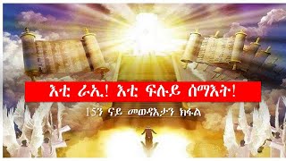 እቲ ራኢ! እቲ ፍሉይ ሰማእት! 15ን መወዳእታን ክፋል