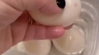 Girl soaks eggs to make them rubbery, but then it doesn’t bounce.