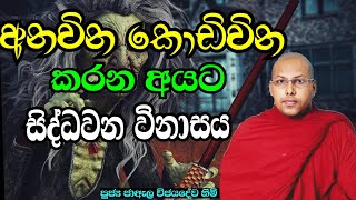 අනවින කොඩිවින කරන අයට සිද්ධවන විනාසය | Anavina Kodivina Karana Ayata | Ven Jaela Vijayadewa Thero ..