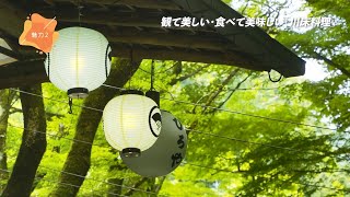 旅する動画　京都の魅力案内人「京・貴船・ひろや　編」【JTB公式 official】