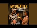 Awukahle Ngokudla