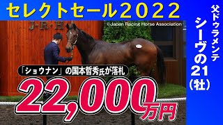 【セレクトセール2022】シーヴの２１は「ショウナン」の国本哲秀氏が２億２０００万円で落札≪東スポ競馬ニュース≫